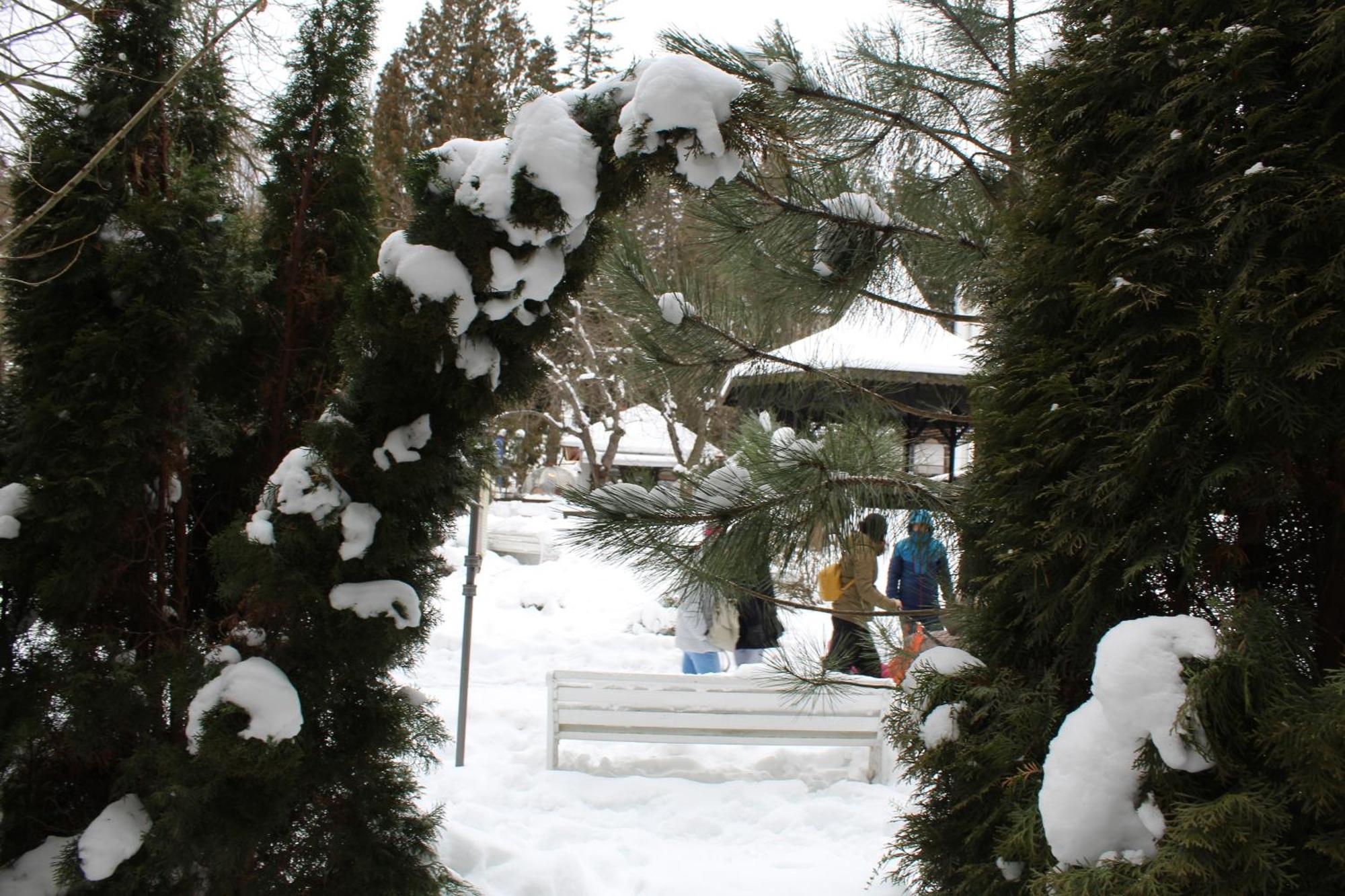 Central Park View Sinaia Ngoại thất bức ảnh