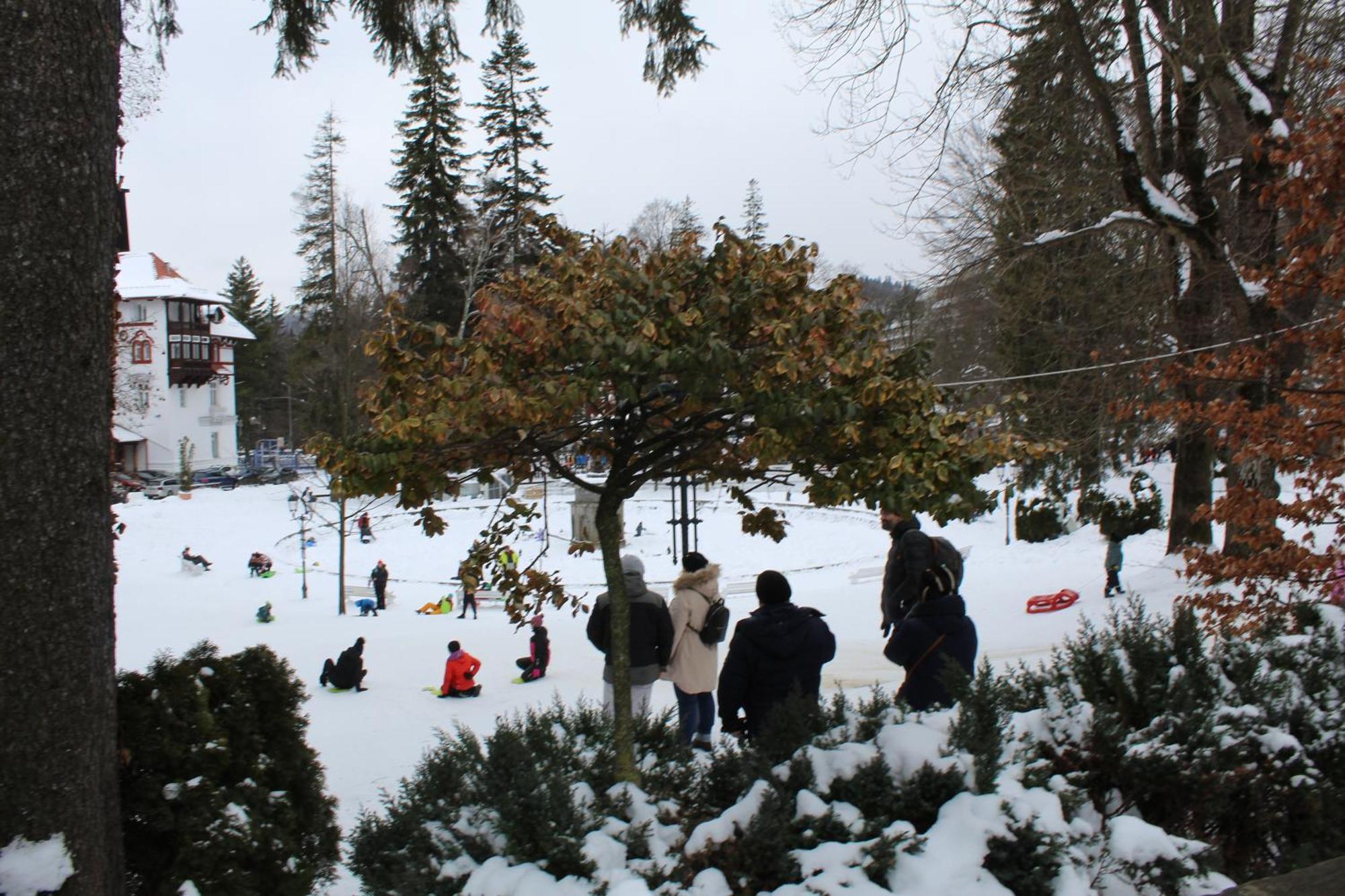 Central Park View Sinaia Ngoại thất bức ảnh