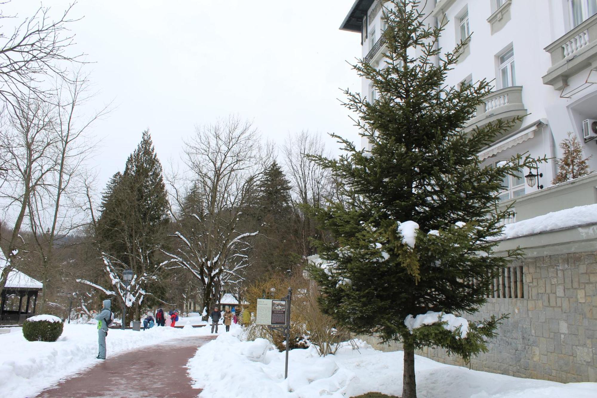Central Park View Sinaia Ngoại thất bức ảnh