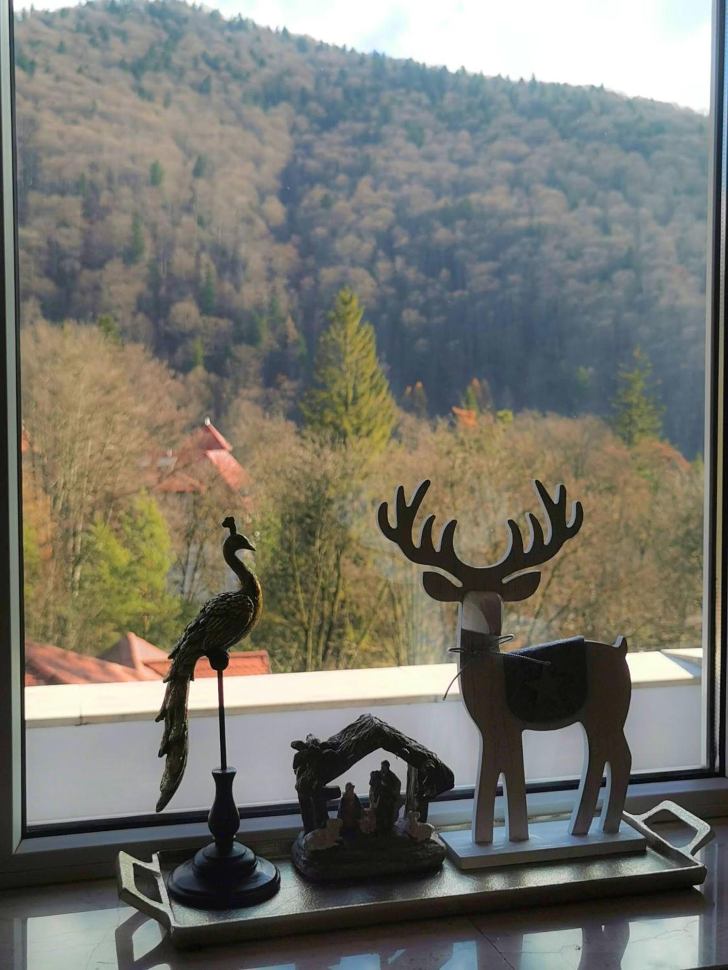 Central Park View Sinaia Ngoại thất bức ảnh